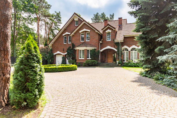 Best Professional Driveway Pavers  in Jarales, NM