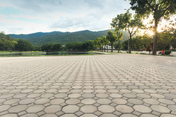 Best Commercial Driveway Pavers  in Jarales, NM
