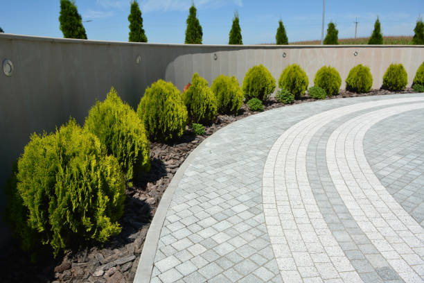 Decorative Driveway Pavers in Jarales, NM