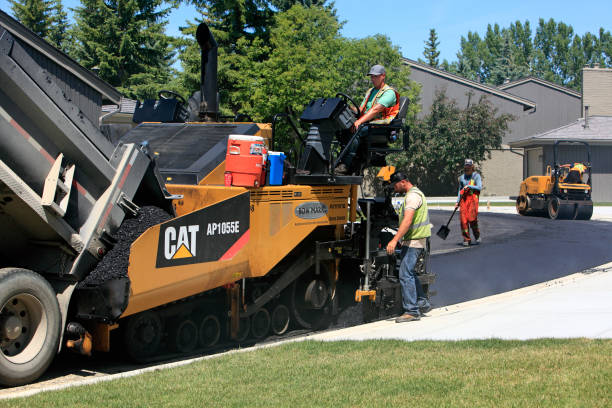 Best Best Driveway Pavers  in Jarales, NM